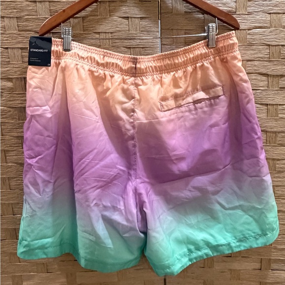 Nike Air Jordan DNA HBR Pool Shorts Sz Mens Large Rainbow Sherbet NWT Size XL - Picture 5 of 8